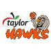 IMS PAYROLL HAWKS Team Logo
